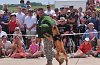 K-9 DSC_7861.jpg